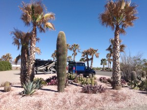 Camped two nights at Desert Palms RV Resort