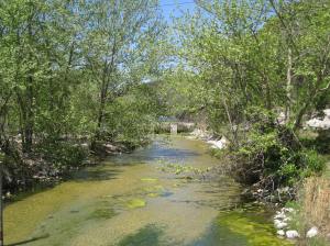 Guadalupe River