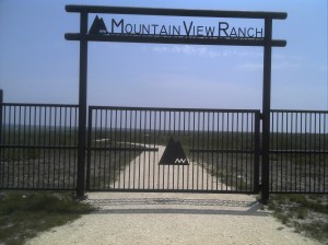 Mountain View.  I don't want to view any more mountains